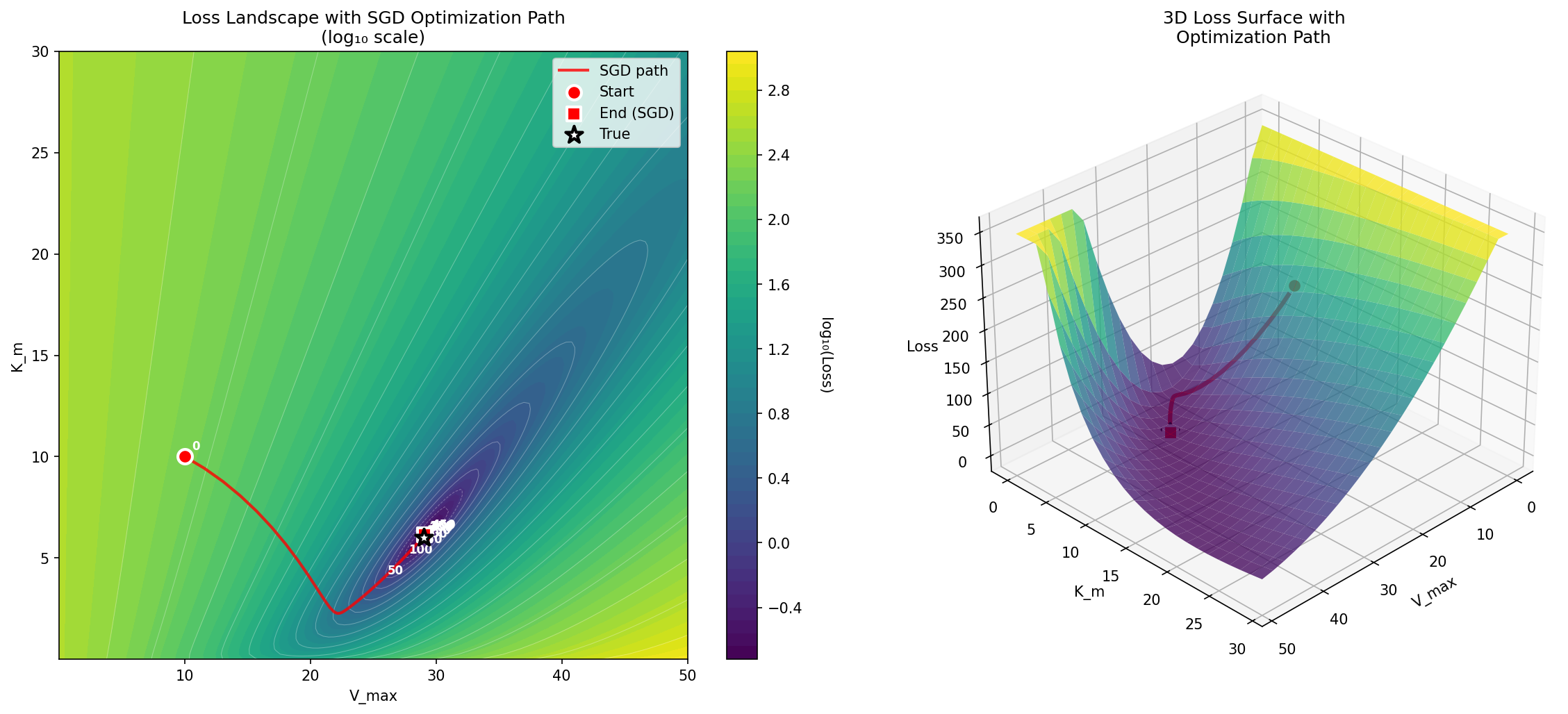 A visualization of the log-loss landscape for the Michaelis-Menten optimization problem, showing the journey of the optimization process from the starting point to the ending point.