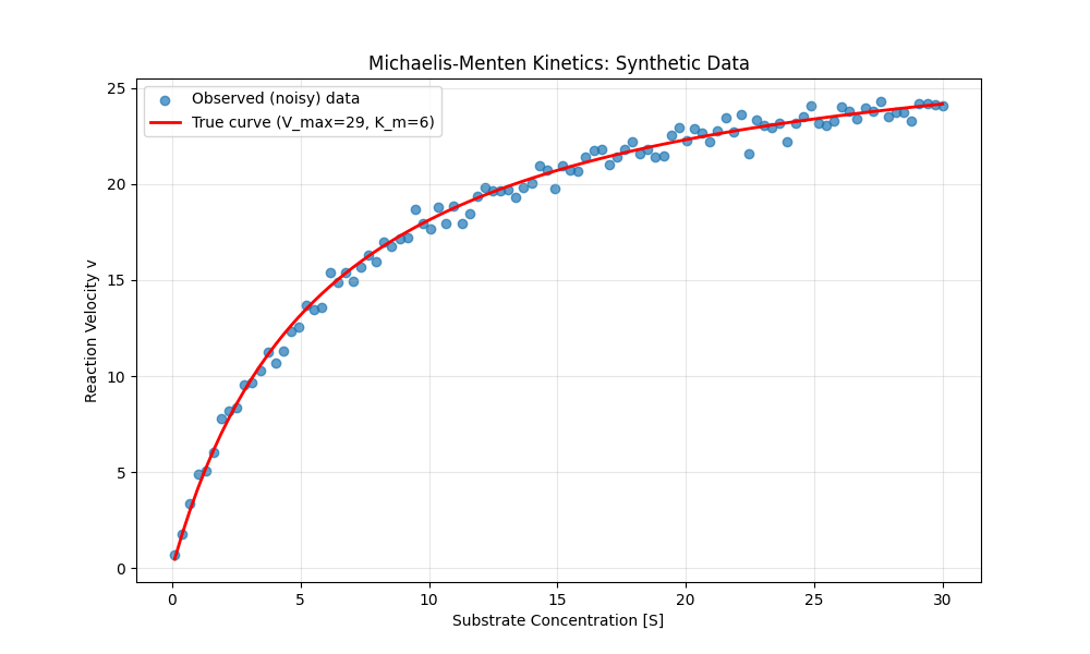 A plot of the Michaelis-Menten function for acetylcholinesterase, along with data sampled from this function with added Gaussian random noise.